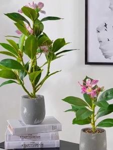 Cây Hoa Giả Azalea 21-40cm Cây Cao Su Giả Lá Cọ Nhiệt Đới Cây Sung Giả Có Hoa Cây Xanh Nhựa Dùng Trang Trí Nhà Cửa