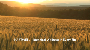 10 boxes FREE 2 boxes JoyAmaze HARTWELL - Ultimate Daily Support for Gut Health Immunity and Overall Well-Being