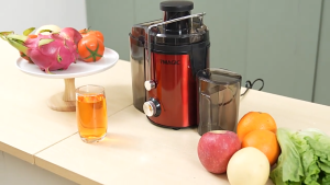 Amax Juicer Stainless steel heavy duty original Juicer Multi functional Large-diameter household electric vegetable and fruit juicer