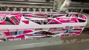 Honda click 125 150 v2 v3 Transparent winker eye High-Quality Decals and Stickers (tiger eye)