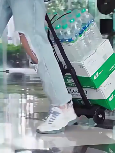 Xe Đẩy Hàng Mini 2 Bánh Gấp Gọn Kéo Dài Đa Năng Siêu Bền Có Dây Chằng Xe Kéo Vali Hành Lý Tiện Lợi