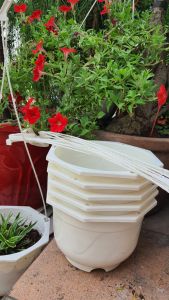 Combo 10 chậu 5 chậu treo tròn kèm móc treo đường kính 20cm