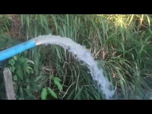 (MITSUROMAR ) ปั๊มน้ำไฟฟ้า ปั๊มหอยโข่ง 2 นิ้ว 2 แรงม้า (220V) ขดลวดทองแท้ ใบพัดทองเหลืองแดง 2 นิ้ว 2 แรงม้า ปั้มน้ำหอยโข่ง (01200) - Lazada