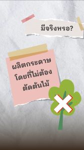 กระดาษรักษ์โลกA4 envoPAP เป็นกระดาษที่ไม่ได้ตัดต้นไม้ สามารถย่อยสลายได้ง่าย เป็นมิตรต่อสิ่งแวดล้อม พร้อมส่ง ขนาด 1 ลัง