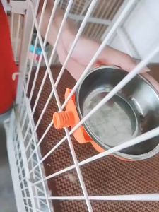 Bát Ăn Gắn Chuồng Bí Ngô Đựng Thức Ăn Nước Uống Cho Chó Mèo - Tiện Lợi Thiết Kế Chắc Chắn