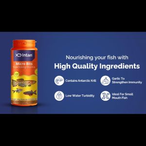 Intan - Micro Bits 🐠 Player Choice Fish Food  For Fish Like Killifish Tetras Rasboras & Danios