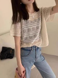 Womens Summer 2023 Hollow out Short Sleeve Knitted Shirt Thin Transparent Top Design Sensation Commute Pure Color Regular Length