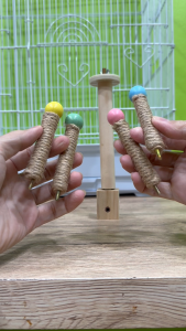 คอนนกแก้วไม้พันปอ รุ่นดูดกระจก – เกาะมั่นคง ออกกำลังกาย ลดเบoredom 9x10 CM