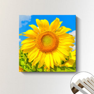 Korean Style Sunflower Decorative Square Painting