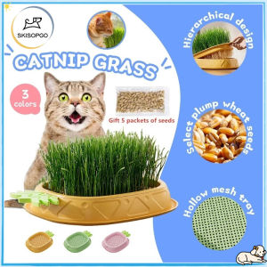 SKISOPGO Cat Grass Seeds Box: Soilless Hydroponic Planting & Organic Pet Treat