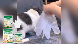 Yegbong Pet Disposable Cleaning Gloves - No Rinse Needed Full-Body Dirt and Odor Removal for Cats and Dogs Wipe Paws and Body Portable Grooming Gloves