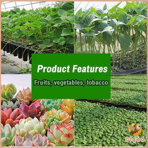 Digeo Seedling Tray: 50/72/105 Holes Garden Trays for Strength Seed Germination