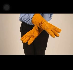 ถุงมือหนังวัวแท้ (ยาว12นิ้ว) เย็บสองชั้น หนังนิ่ม กันสะเก็ดไฟ ทนความร้อนและของมีคม ถุงมือเชื่อมเหล็ก ทุเรียน ถุงมือยกของ ถุงมือนิรภัย tactical Cow leather gloves