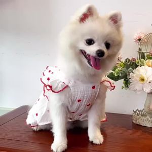 Dog Summer Dress Cute Heart Print Sleeveless Jumper Lightweight & Breathable Mesh Fabric