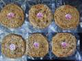 Burmese Butter Pan Cake (6 inches) ထောပတ်ကောက်ညင်းဘိန်းမုန့် (၆လက်မ). 