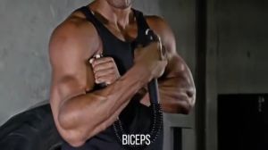 Spring Arm Strength Hand Gripper Power Twister Resistance Bend Bar for Fitness Chest Forearm Strength Training Spring Arm Strength Hand Gripper Power Twister Resistance Bend Bar for Fitness Chest Forearm Strength Training Gym Equi  20/30/40/50kg /60kg