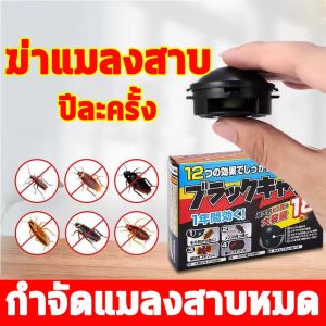 🌸จัดส่งในวันเดียวกัน🌸Insect Traps นำเข้าจากญี่ปุ่น กําจัดแมลงสาบ ยาฆ่าแมลงสาบ บ้านแมลงสาบ ไล่แมลงสาบ แมลงสาบ ไล่แมลงสาบ-1