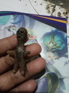 batara karang membatu