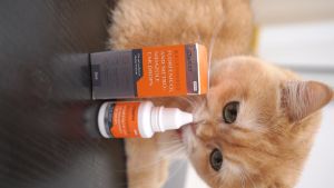 PUAINTA 20ml Cairan Pembersih Telinga Kucing - Pembersih Kuping Kucing