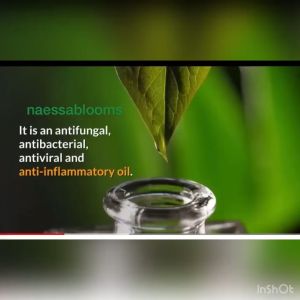 Antibacterial Cream Quickly relieve itchingagainst Eczema Psoriasis Itchy Peeling Dermatitis Herpes Skin Therapy Healing Cream 30g