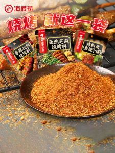 Haidilao BBQ Seasoning Powder for Home Use Grilled Meat Cumin Dip Specialized Marinating Dry Ingredients for Air Fryer Skewers