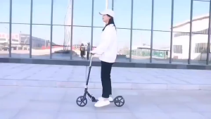 [SG STOCKS] Foldable Kick Scooter Children Kids Youth Teenagers Adults Hand Brake Foot Brakew