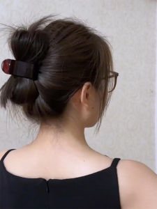 Premium Small Shark Clip Hairpin with High Horse Tail Fixation by Jin Morning for Stable Hair Style Accessory