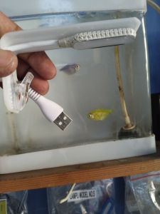 Lampu Aquarium murah - model no 1 - lampu soliter- lampu hias ikan - lampu jepit aquarium