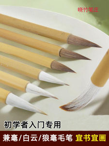 Calligraphy Practice Set for Beginners Student Large Medium Small Brush Tips Wolf Hair Sheep Hair Cloud White Brush Pen Kit