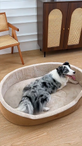JanyPaw Washable Dog Bed Cat Bed Extra Thick Plush Pet Bed with Raised Edge Removable Cushion Cozy Pet Sleeping Nest