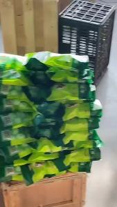 冰晶花驱鼠丸汽车驱虫樟脑丸防鼠跨境户外室内蟑螂蜈蚣虫鼠驱避丸
