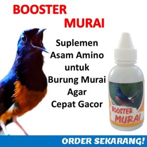 Booster Murai batu / suplemen murai cepat gacor / cara murai batu cepat gacor / vitamin burung murai gacor / murai batu gacor maksimal / suplemen murai batu terbaik / Vitamin burung gacor / Suplemen Murai gacor / Booster Murai 60 ml / Suplemen burungMurai