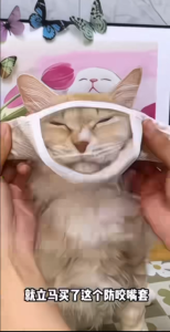 Clear Breathable Cat Anti-Bite Mask Wide View Pet Grooming Face Shield