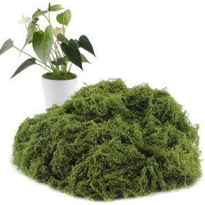 Artificial Green Moss Faux Preserved Moss DIY Crafts Fake Grass for Micro Landscape Terrarium Bonsai Home Garden Wall Decor