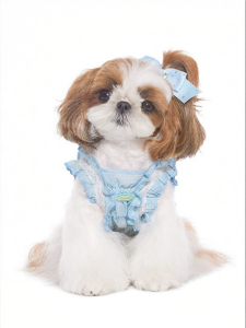 Mooki pet | Slim Summer Dog Vest Small Breeds