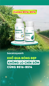 Combo Dưỡng Cây Chống Rụng Trái Non BS14 Amino BS16 Canxi Bo - Quả To Bóng Đẹp - Bác Sĩ Cây Xanh