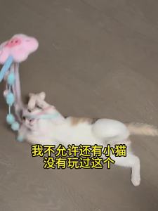 FURRYBUM | Peach Blossom Design Cat Teaser Wand With Bell Accompaniment