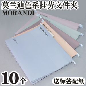 Thick Morandi Color A4 Hanging File Organizer