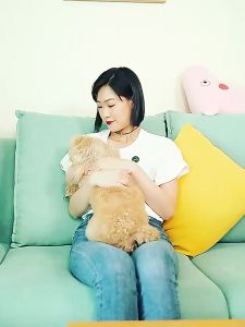 FENGHONGTAO | Odor Removal Pet Deodorizer for Indoor Use