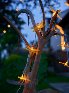 Waterproof Solar LED Decorative Light
