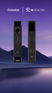 Kaadas P30 Pro Max Facial Recognition Digital Door Lock + Kaadas R8GD Gate Lock | AN Digital Lock