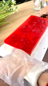 10 Pcs Tray Mika Dessert Kue Premium Dus Box | Mika Slice Cake Dessert Tiramisu Cake | Mika Bolu | Mika Kue | Mika Dessert Korea DMO GT26