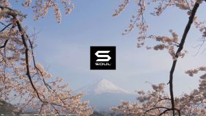 SOUL S Live 30 TWS Bluetooth Earphone Low Latency ENC True Wireless Earbuds