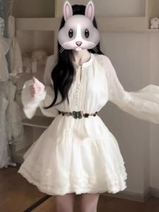 CHANGTONG | French Style Elegant Puff Skirt Dress Long Sleeve