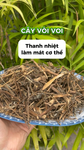 [Hàng mới về] Cây vòi voi khô túi nhỏ 100g - Tấn Phát - Hỗ trợ cải thiện sức khoẻ - Hàng loại 1 - Chuyên dùng để pha trà
