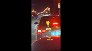 Sunflower Seven-Color Flower Bubble Machine Colorful Flower Sunflower Bubble Gun Handheld Childrens Toy for Girls Boys