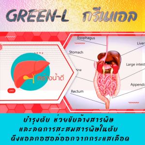 กรีนแอล Green-L บำรุงตับ กำจัดสารพิษ ลดการทำลายเซลล์ตับ ลดการสะสมไขมันในตับ ของแท้ตรวจสอบได้