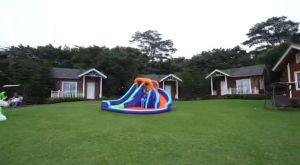 Spot gelongsor childrens slide outdoor slide playground outdoor water slide childrens swimming pool slider