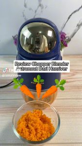 HAN RIVER BABY FOOD MAKER