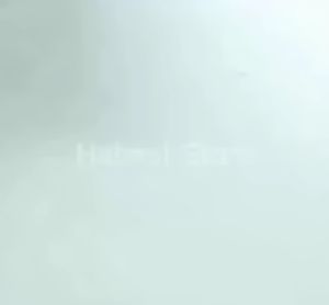 [20Pcs] Strong Plastic Clip Shirts Windproof Plastic Clip Shirt Bra Clip